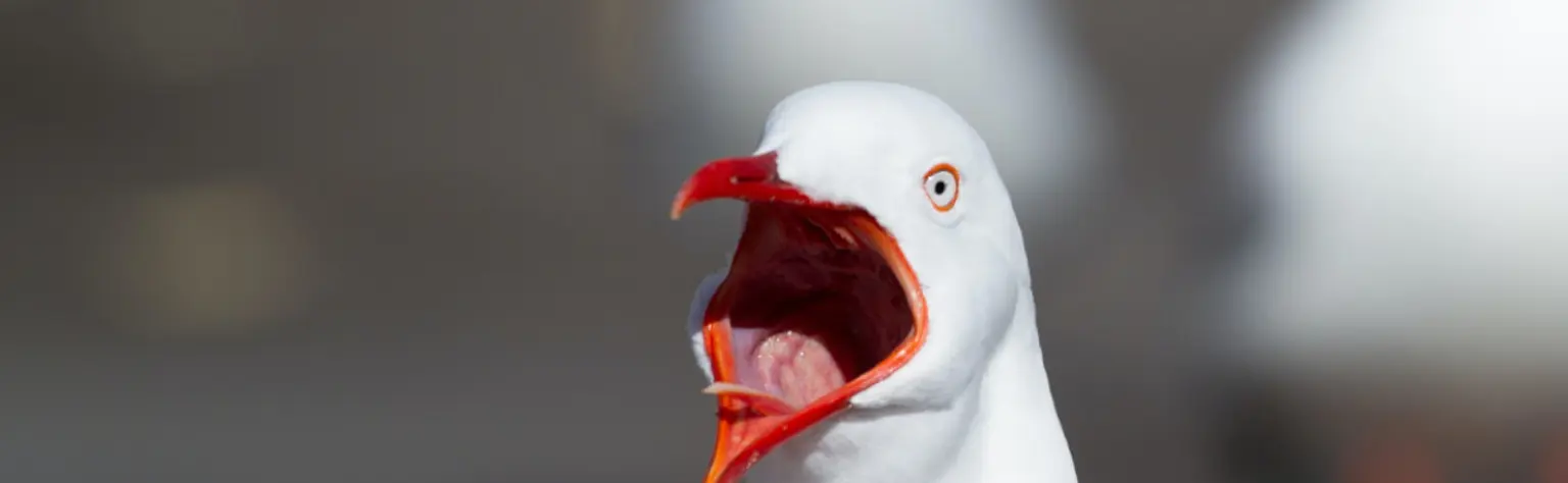 Extorsiones vía email y estafas sobre pornografía: No dejes que te asusten!