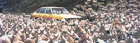 El Internet que estamos perdiendo (y por qué la IA no tiene toda la culpa)